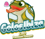 logo golosibiza