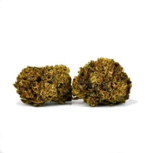 Amnesia Haze Natural Suit
