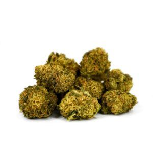 Amnesia Haze Small Buds CBD Natural Suit
