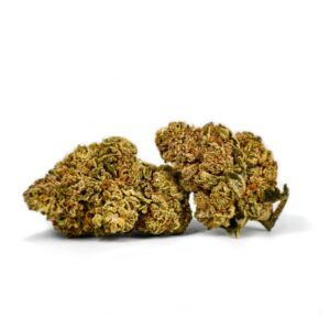 Cherry Punch CBD Natural Suit