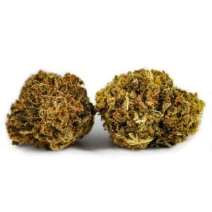 Watermelon CBD Natural Suit
